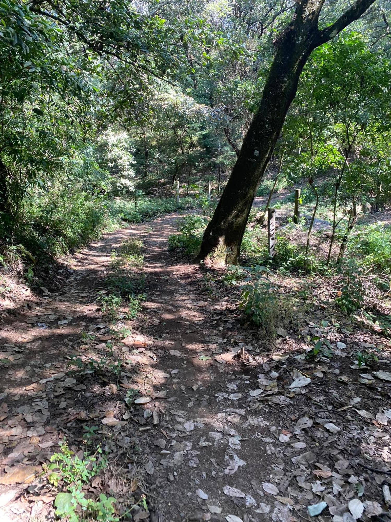 Cabanas Alpina, Romantica Y Acogedora A 10 Minutos Del Centro Tepoztlán Exterior foto